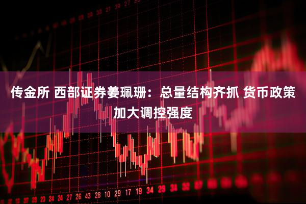 传金所 西部证券姜珮珊：总量结构齐抓 货币政策加大调控强度