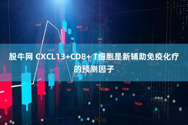 股牛网 CXCL13+CD8+ T细胞是新辅助免疫化疗的预测因子