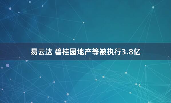 易云达 碧桂园地产等被执行3.8亿