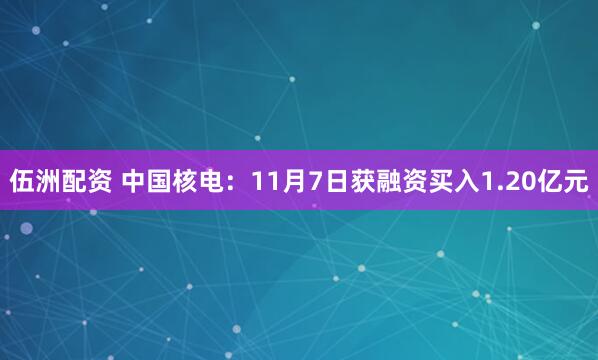 伍洲配资 中国核电：11月7日获融资买入1.20亿元