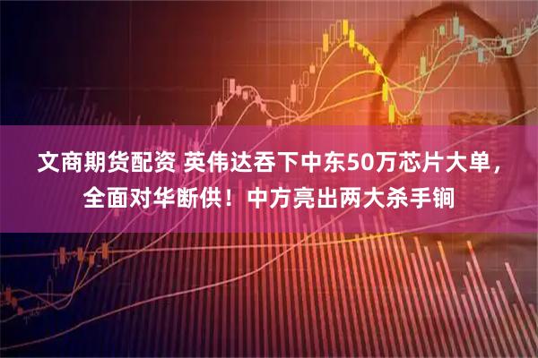 文商期货配资 英伟达吞下中东50万芯片大单，全面对华断供！中方亮出两大杀手锏