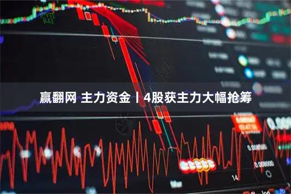 赢翻网 主力资金丨4股获主力大幅抢筹